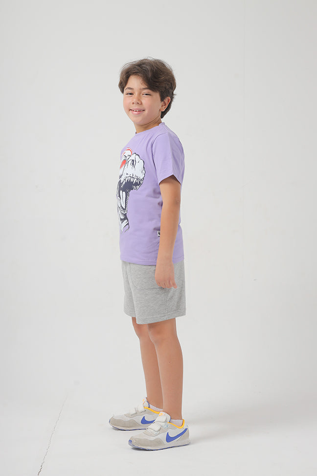 T rex dinosaur Kids Cotton T-shirt For Boys