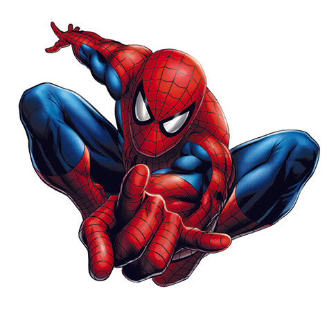 Spiderman character Magnetic Pin